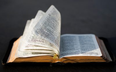 Reading and Understanding the Bible