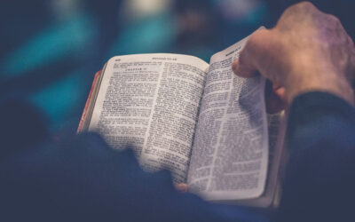 The Basics of Preaching: An Introduction and a Review